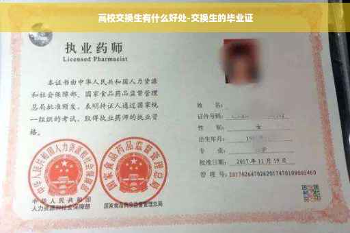高校交换生有什么好处-交换生的毕业证
