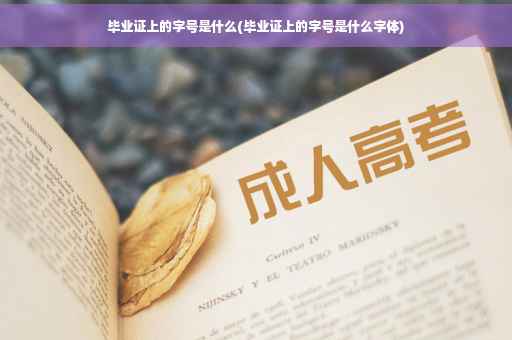 毕业证上的字号是什么(毕业证上的字号是什么字体)