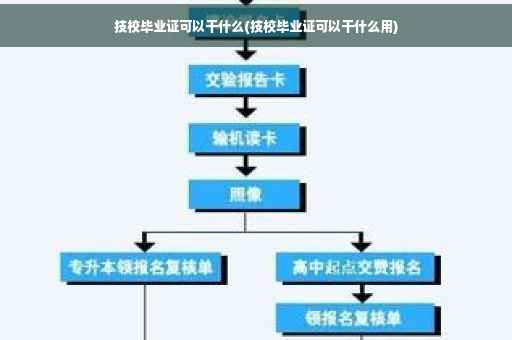 技校毕业证可以干什么(技校毕业证可以干什么用)