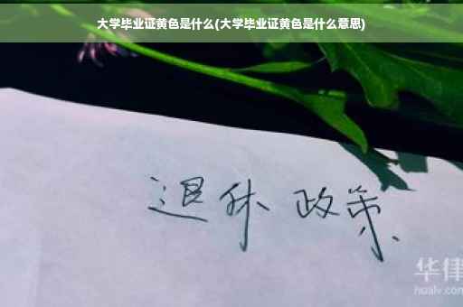 大学毕业证黄色是什么(大学毕业证黄色是什么意思)
