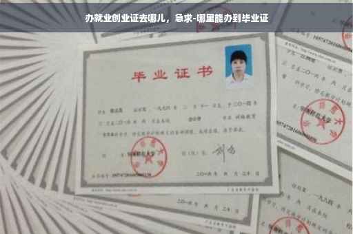 办就业创业证去哪儿，急求-哪里能办到毕业证