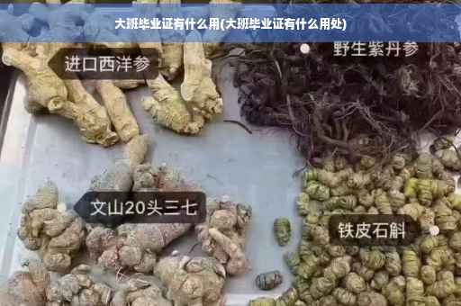 大班毕业证有什么用(大班毕业证有什么用处)
