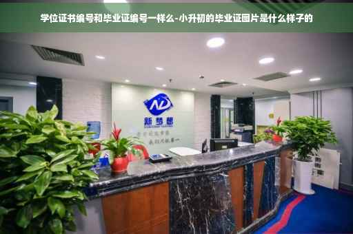 学位证书编号和毕业证编号一样么-小升初的毕业证图片是什么样子的