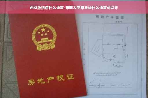 西双版纳讲什么语言-布朗大学毕业证什么语言可以考