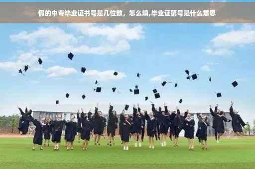 假的中专毕业证书号是几位数，怎么填,毕业证第号是什么意思