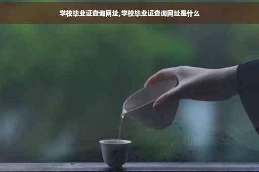 学校毕业证查询网址,学校毕业证查询网址是什么