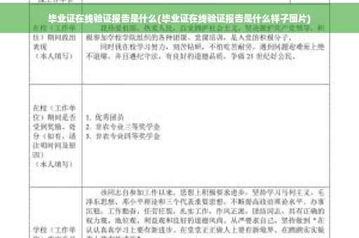 毕业证在线验证报告是什么(毕业证在线验证报告是什么样子图片)
