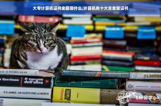 大专计算机证书全称是什么,计算机类十大含金量证书