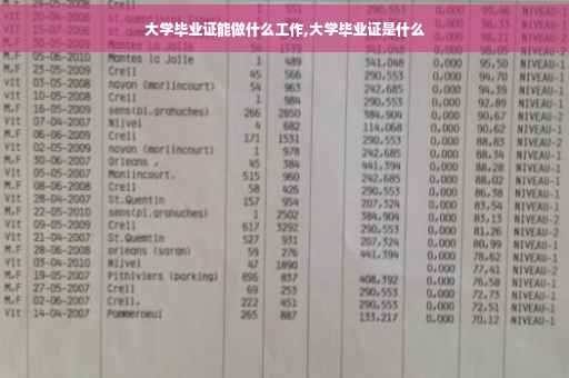 大学毕业证能做什么工作,大学毕业证是什么