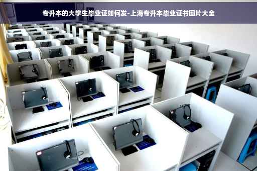 专升本的大学生毕业证如何发-上海专升本毕业证书图片大全