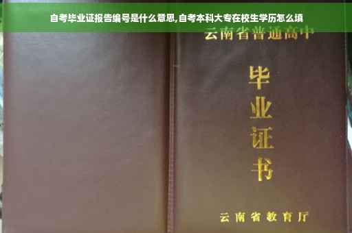 自考毕业证报告编号是什么意思,自考本科大专在校生学历怎么填 自考毕业证报告编号是什么意思,自考本科大专在校生学历怎么填