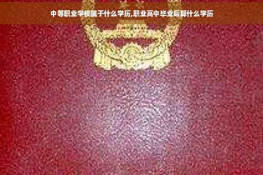 中等职业学校属于什么学历,职业高中毕业后算什么学历
