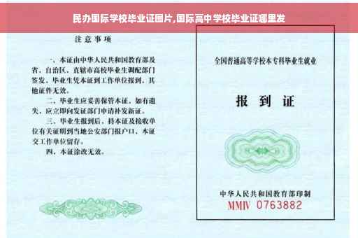 民办国际学校毕业证图片,国际高中学校毕业证哪里发