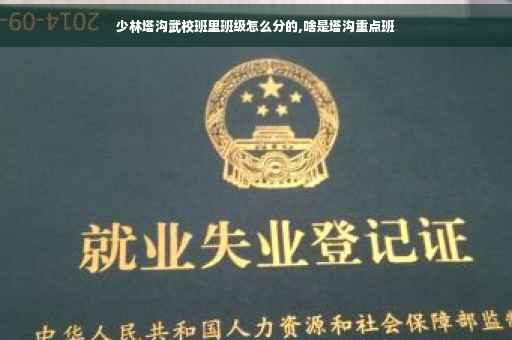 少林塔沟武校班里班级怎么分的,啥是塔沟重点班