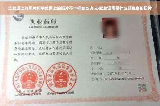 毕业证上的照片和学信网上的照片不一样怎么办,办就业证需要什么颜色底的照片