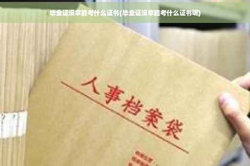 毕业证没拿能考什么证书(毕业证没拿能考什么证书呢)