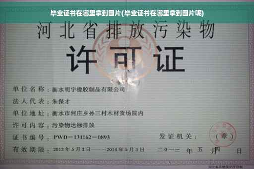 毕业证书在哪里拿到图片(毕业证书在哪里拿到图片呢)