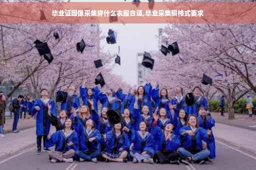 毕业证图像采集穿什么衣服合适,毕业采集照格式要求