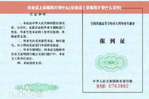 毕业证上采集照片带什么(毕业证上采集照片带什么证件)