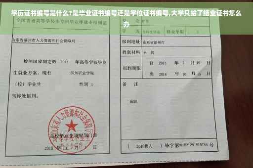 学历证书编号是什么?是毕业证书编号还是学位证书编号,大学只给了结业证书怎么办