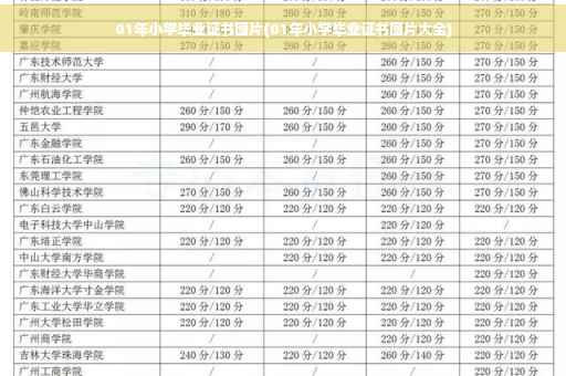 01年小学毕业证书图片(01年小学毕业证书图片大全)