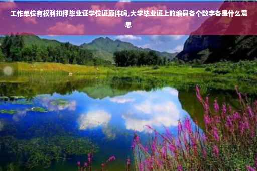 工作单位有权利扣押毕业证学位证原件吗,大学毕业证上的编码各个数字各是什么意思