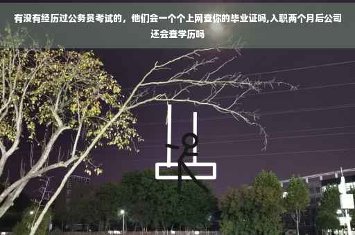 有没有经历过公务员考试的，他们会一个个上网查你的毕业证吗,入职两个月后公司还会查学历吗