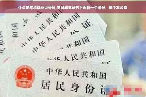 什么是本科毕业证号码,本科毕业证书下面有一个编号，拿个怎么查