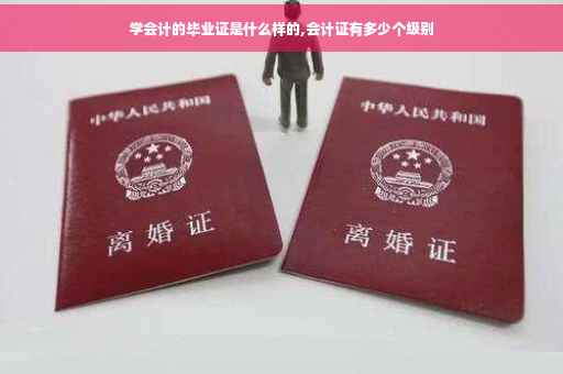 学会计的毕业证是什么样的,会计证有多少个级别