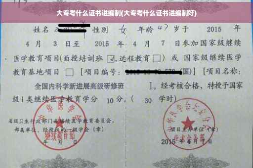 大专考什么证书进编制(大专考什么证书进编制好)