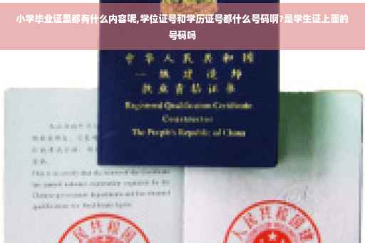 小学毕业证里都有什么内容呢,学位证号和学历证号都什么号码啊?是学生证上面的号码吗