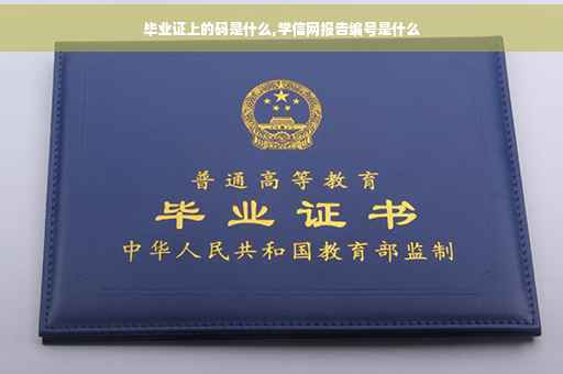 毕业证上的码是什么,学信网报告编号是什么