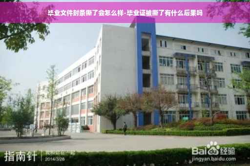 毕业文件封条撕了会怎么样-毕业证被撕了有什么后果吗