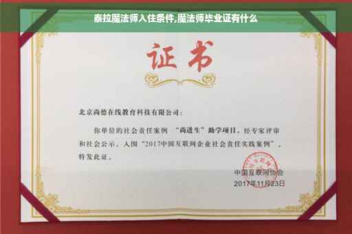 泰拉魔法师入住条件,魔法师毕业证有什么