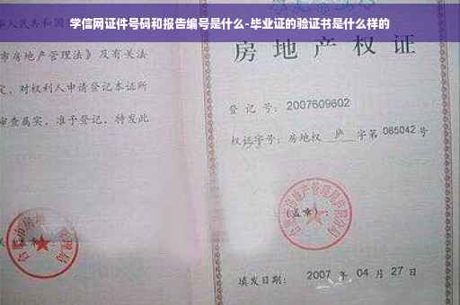 学信网证件号码和报告编号是什么-毕业证的验证书是什么样的