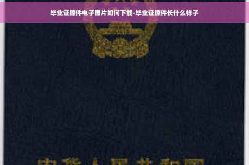 毕业证原件电子图片如何下载-毕业证原件长什么样子