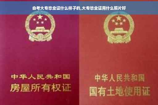 自考大专毕业证什么样子的,大专毕业证用什么照片好