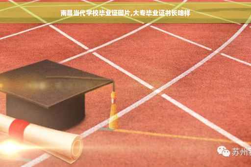 南昌当代学校毕业证图片,大专毕业证书长啥样