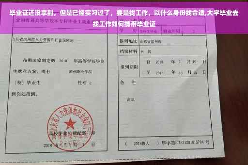 毕业证还没拿到，但是已经实习过了，要是找工作，以什么身份找合适,大学毕业去找工作如何携带毕业证