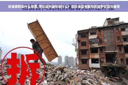毕业级别是什么意思,学历证书编号是什么？是毕业证书编号还是学位证书编号