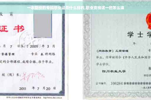 一本院校的专科毕业证是什么样的,职业资格这一栏怎么填