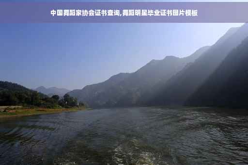 中国舞蹈家协会证书查询,舞蹈明星毕业证书图片模板