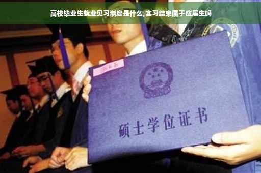 高校毕业生就业见习制度是什么,实习结束属于应届生吗