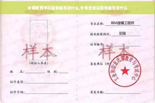 中等教育学历报告编号是什么,中专毕业证报告编号是什么