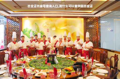 毕业证书编号查询入口,用什么可以查学院毕业证
