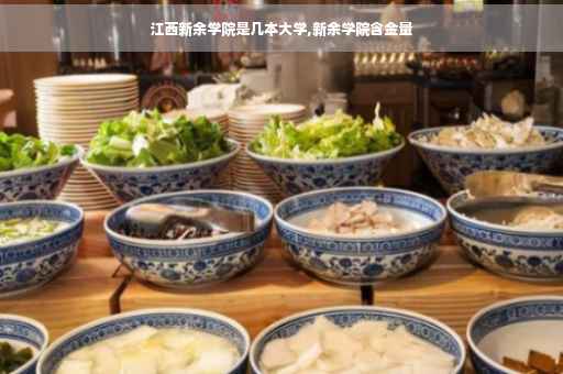 江西新余学院是几本大学,新余学院含金量