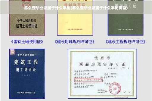 怎么查毕业证属于什么学历(怎么查毕业证属于什么学历类型)
