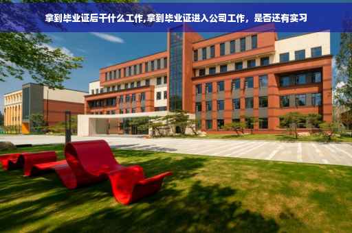 拿到毕业证后干什么工作,拿到毕业证进入公司工作，是否还有实习