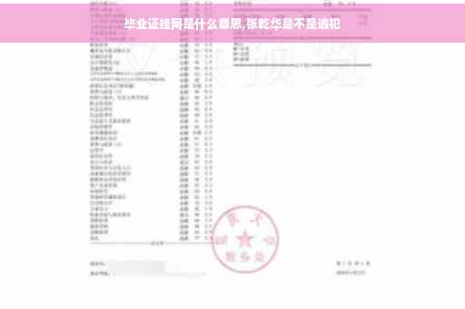 毕业证挂网是什么意思,张乾华是不是逃犯