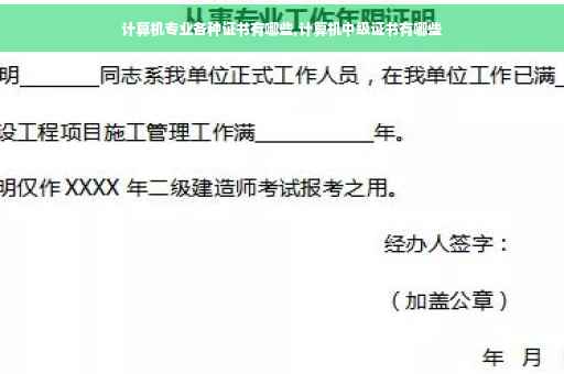 计算机专业各种证书有哪些,计算机中级证书有哪些